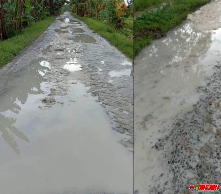 Jalan Poros Desa Baturono-Gedangan Bertahun-tahun Rusak Parah, Pemkab Lamongan Tidak Punya Dana