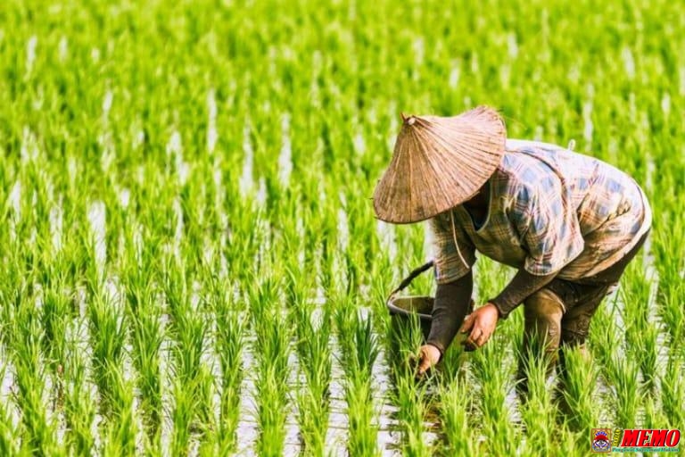 Alat Pertanian Dikuasai Oknum Perangkat Desa, Petani Desa Pamotan Gigit Jari