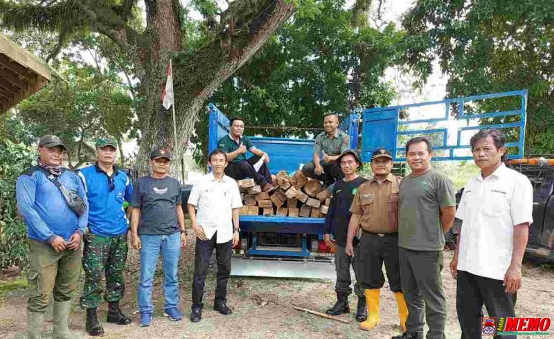 KPH Cepu Berhasil Amankan Puluhan Batang Kayu Jati Curian