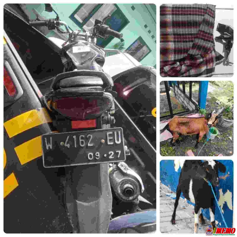Polisi Ringkus Pemuda Curi Kambing Disembunyikan di Dalam Sarung