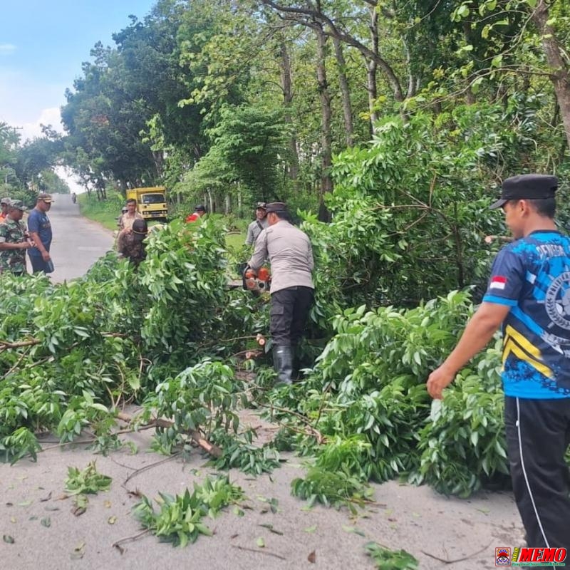 Aksi Preventif Polsek Mantup, Pengamanan Jalur Vital dengan Tebang Pohon Rawan Tumbang