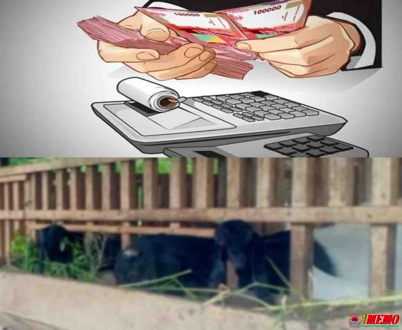 Bantuan Dana Hibah Pengadaan Ternak Kambing Desa Bluri Diduga Terindikasi Korupsi
