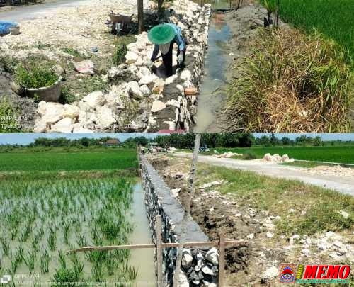 Proyek Jasmas Prov di Desa Baturono Diduga Jadi Ladang Bisnis Kades dan Broker