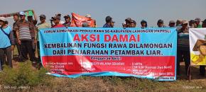 Usut Tuntas Penjarahan Tambak di Rawa Sekaran.!!!
