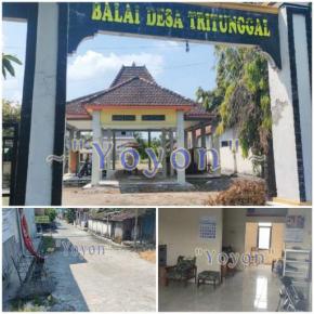 Dua Tahun Mangkrak, Pembongkaran Balai Desa Tritunggal Layak Disoal