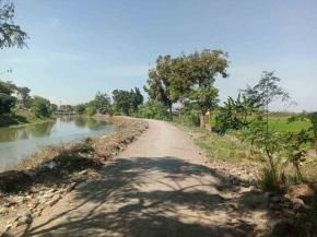 Proyek Pavingisasi di Desa Sambungrejo Diduga Syarat Penyimpangan