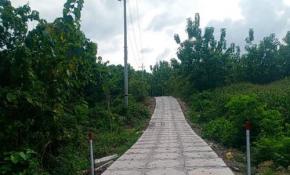 Proyek Jalan Desa Soko Diduga Carut-marut, Kadin PU Bina Marga Bojonegoro Bermanuver