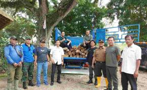 KPH Cepu Berhasil Amankan Puluhan Batang Kayu Jati Curian