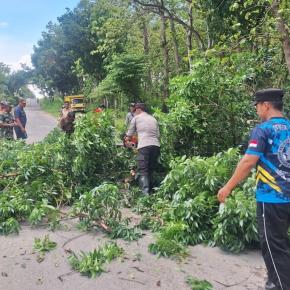 Aksi Preventif Polsek Mantup, Pengamanan Jalur Vital dengan Tebang Pohon Rawan Tumbang