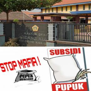 Bukti Lengkap, Publik Desak APH Selidiki Kasus Pupuk Subsidi Desa Gedangkulut dan Kios H. Nuri