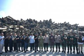 Kasus Ilegal Logging Rp 240 Miliar Berhasil Diamankan di Gresik, BPKP Apresiasi Satgas PKH