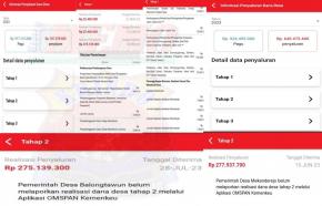 Laporan Realisasi DD di Omspan Amburadul, Kadin PMD Lamongan dan Kades Saling Tuding